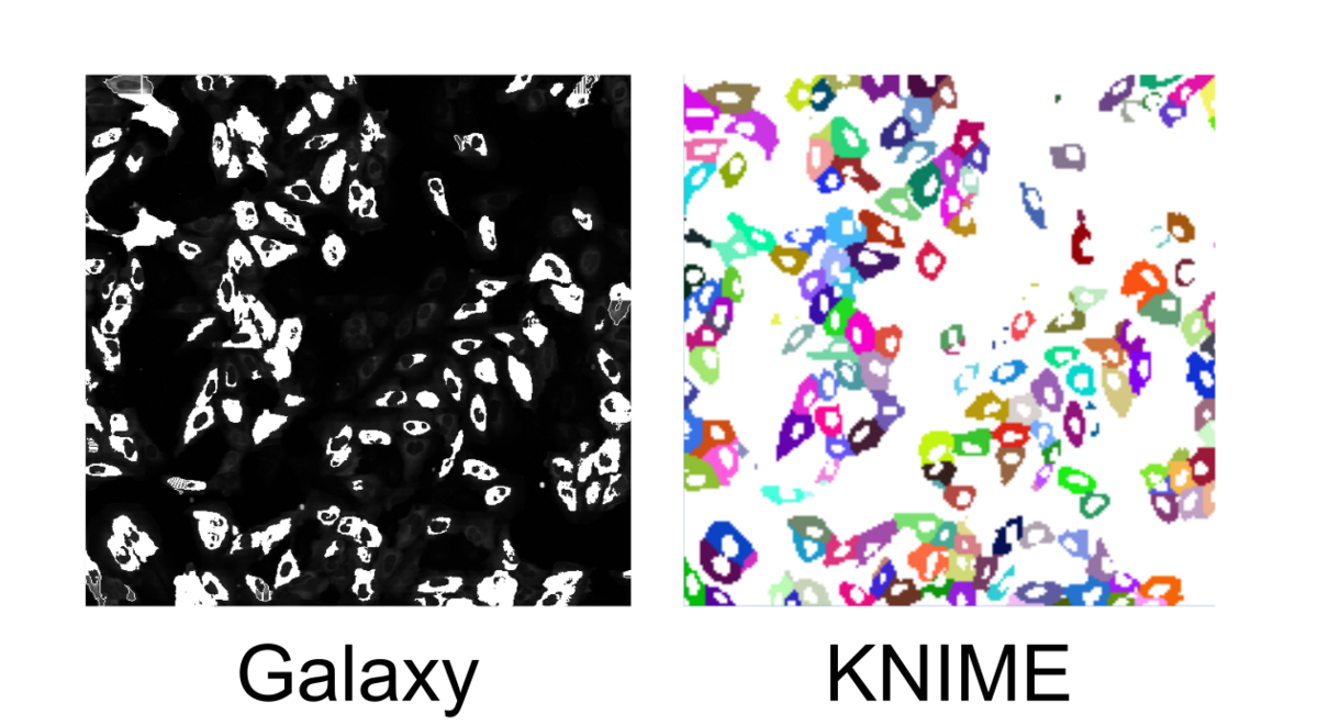News Icon about Results from the Image Analysis in Galaxy Hackathon