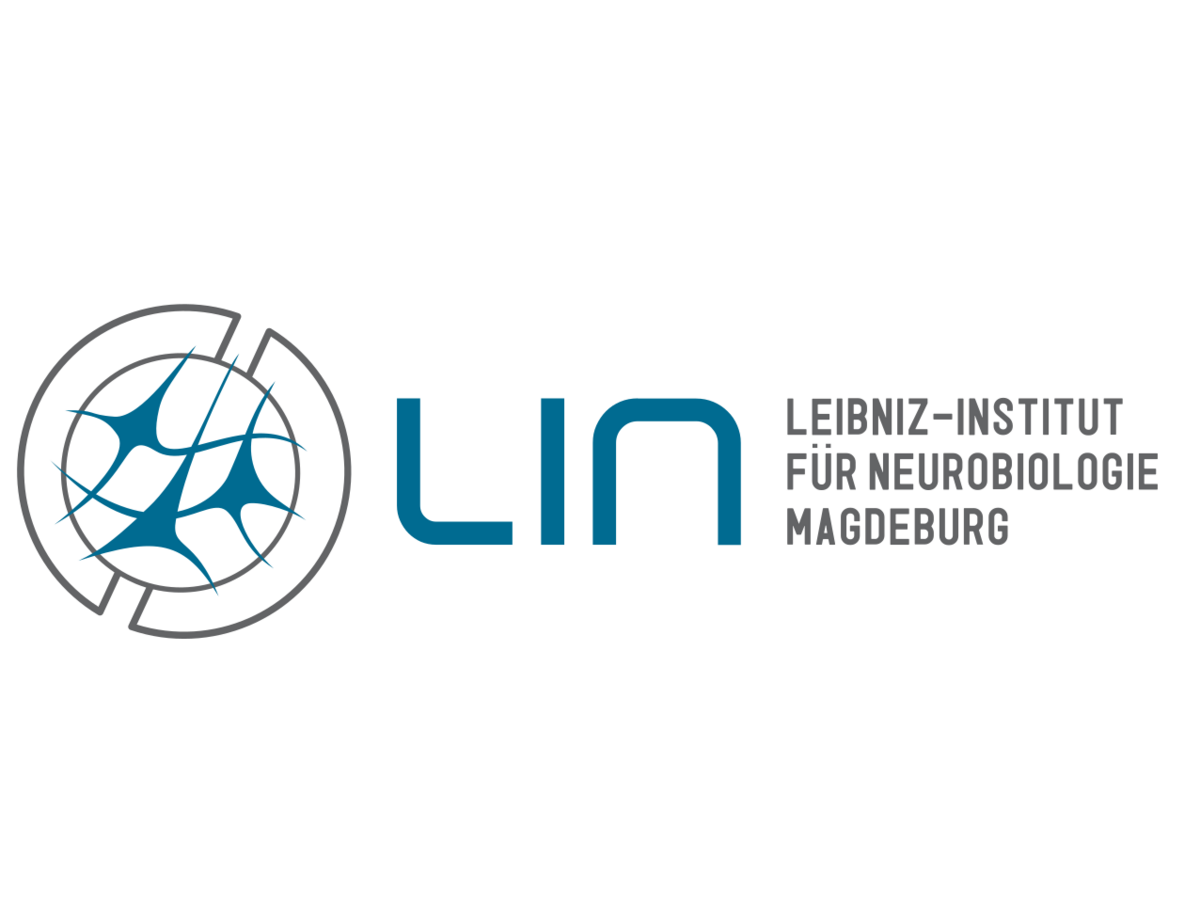 Logo of LIN Magdeburg