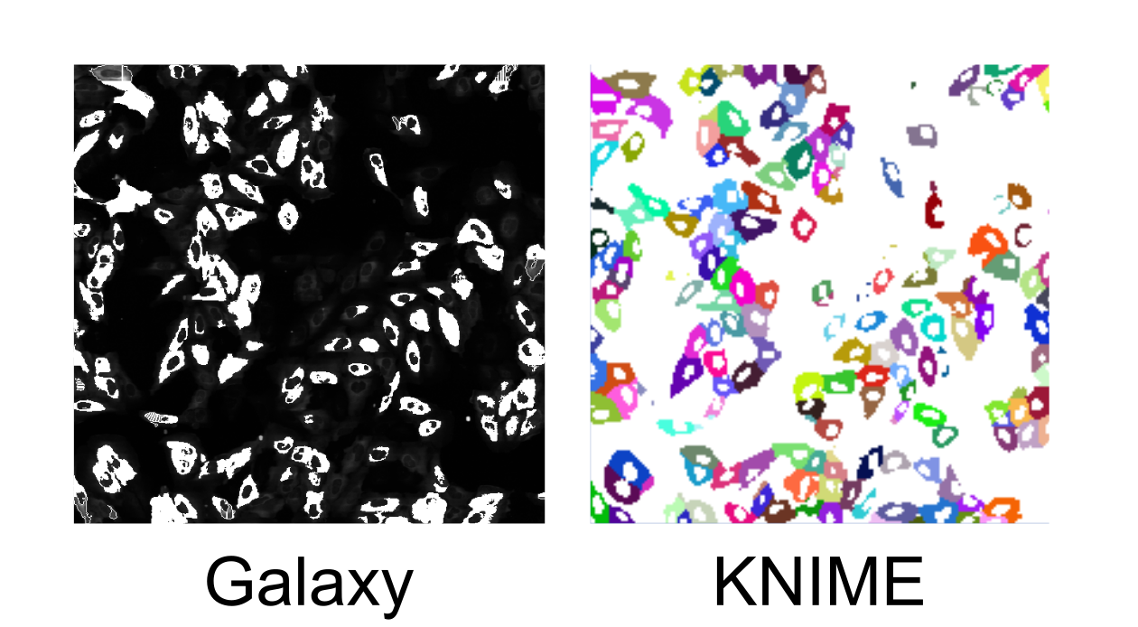 News Icon about Results from the Image Analysis in Galaxy Hackathon