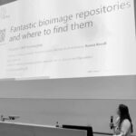 Person giving a talk