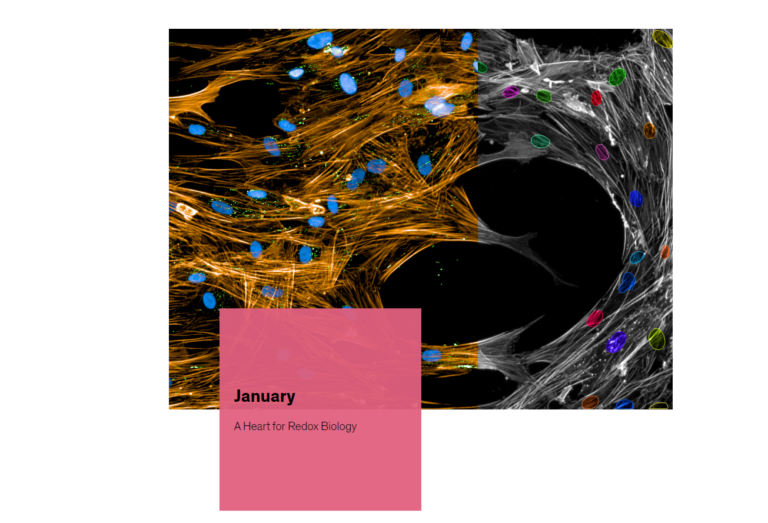 Screenshot of 2025 WallCalendar January