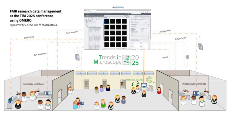 Graphical Abstract for the Trends in Microscopy Meeting 2025
