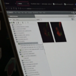 Picture of a Laptop Screen displaying the software OMERO