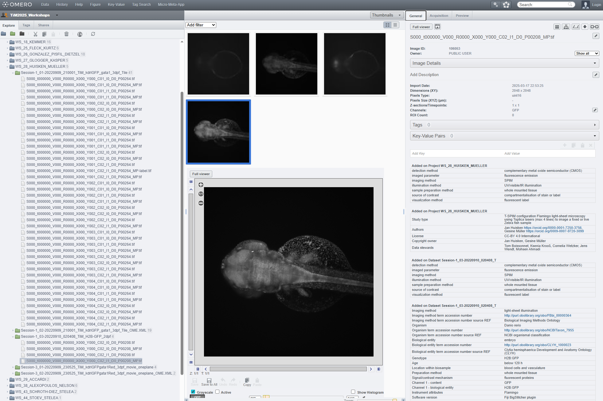 TiM2025_screenshot_huisken-general+preview_combined