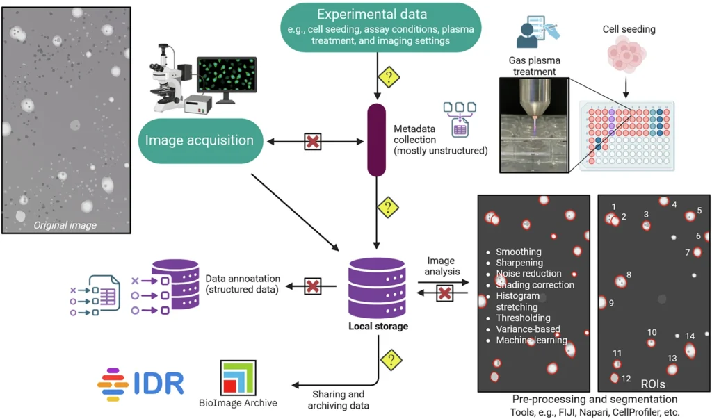 Workflow diagram illustrating image acquisition, analysis, and archiving.