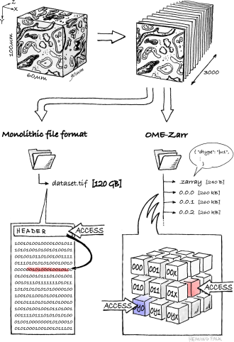 monolithic-vs-chunked-300dpi